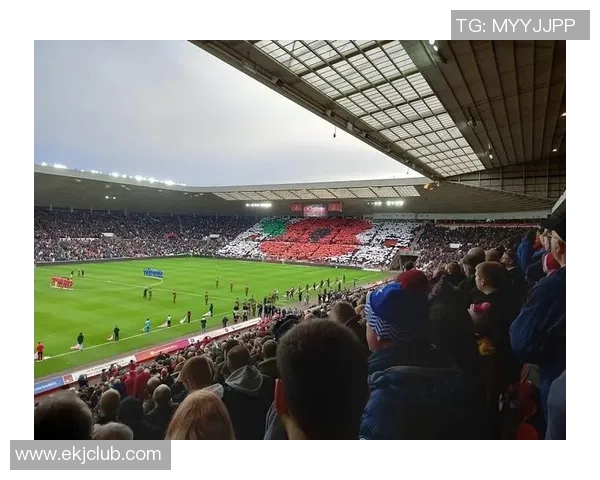 足球星国外赛事聚焦全面解读绿茵场内外的激情与荣耀